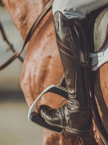 Equipment-Cheval-Cap-Horse-Ornex