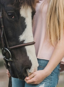 Pays-de-Gex-Ornex-Soinsage-So-Equitation-