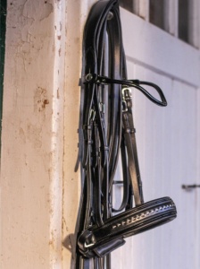Promotions-Magasin-Equitation-Pays-de-Gex
