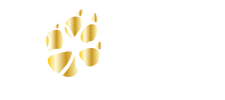 Cap-hors