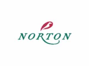 Norton logo