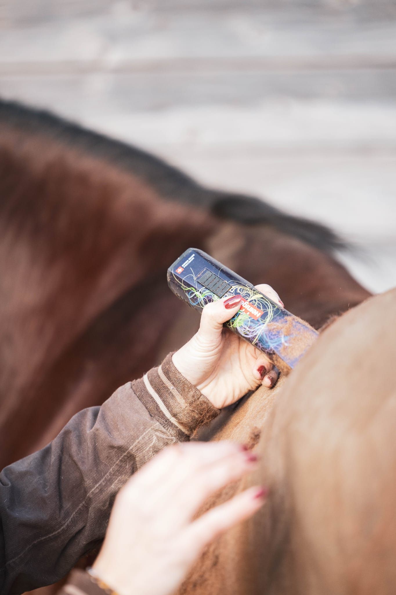Mowing a horse with professional mower for rent at Cap Horse in Ornex, Pays de Gex