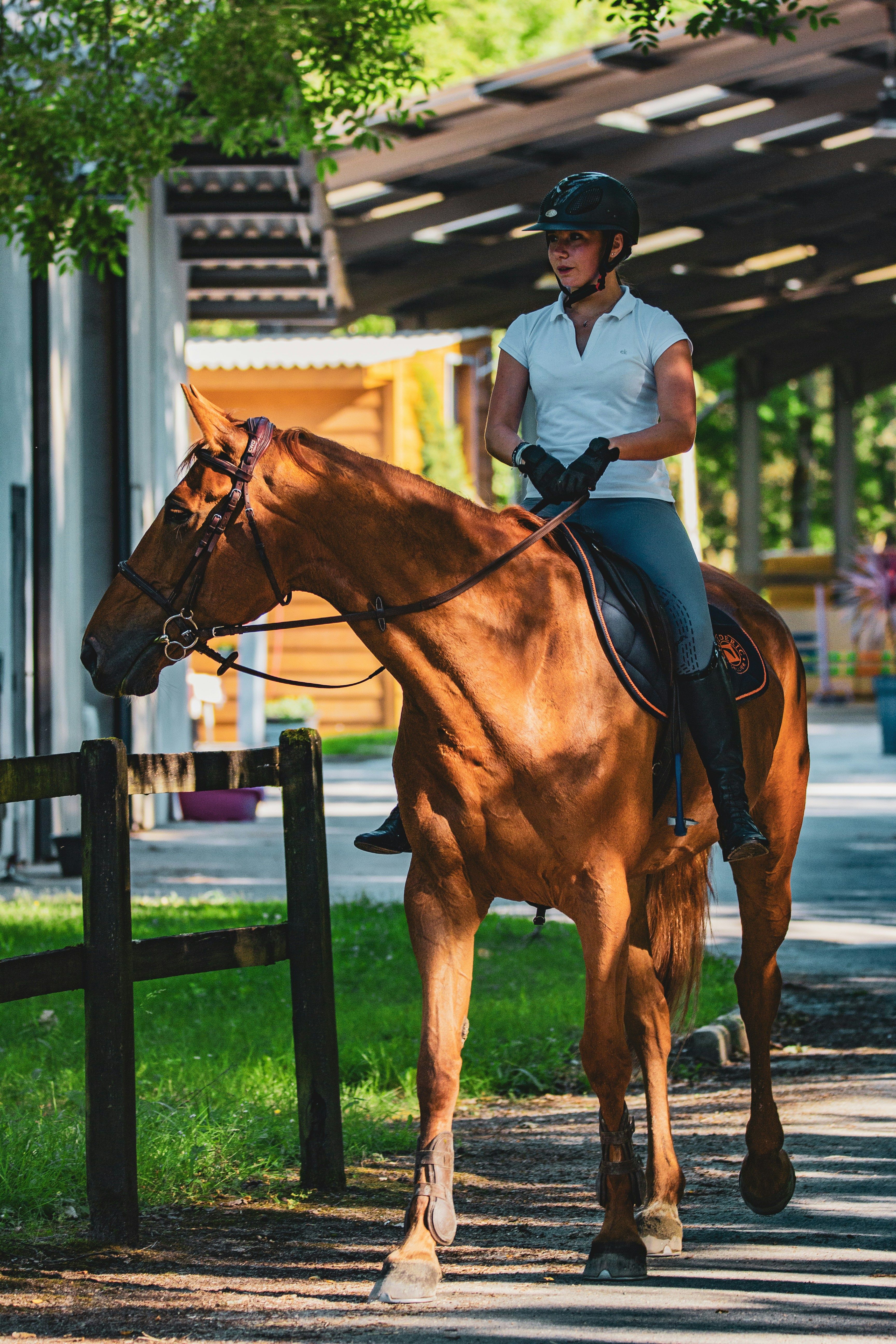 Cavalière in riding clothes amounting to a Alezan horse on a shaded driveway - CAP Horse Ornex