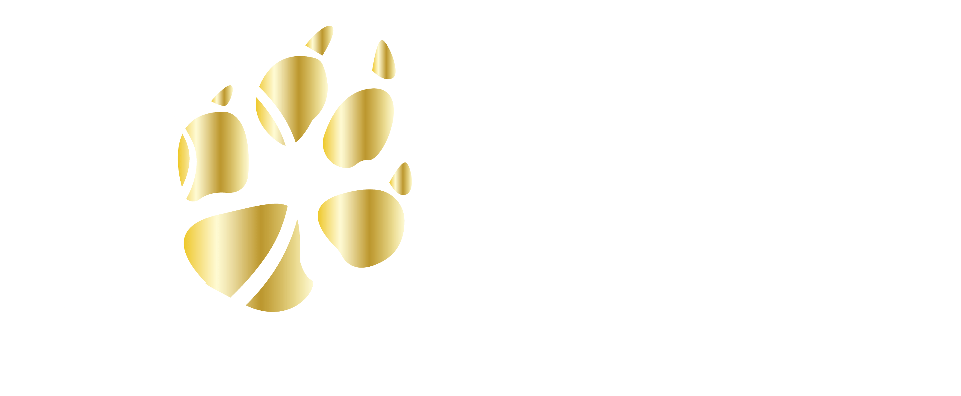 Cap Horse