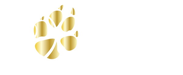 Cap Horse